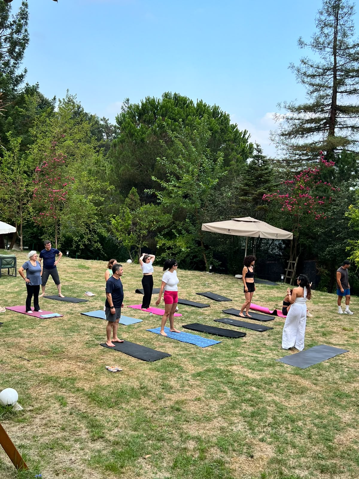Mobility & Yoga